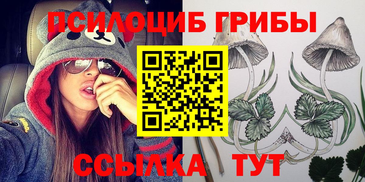 Галлюциногенные грибы MAGIC MUSHROOMS  Вход с VPN  Алатырь 